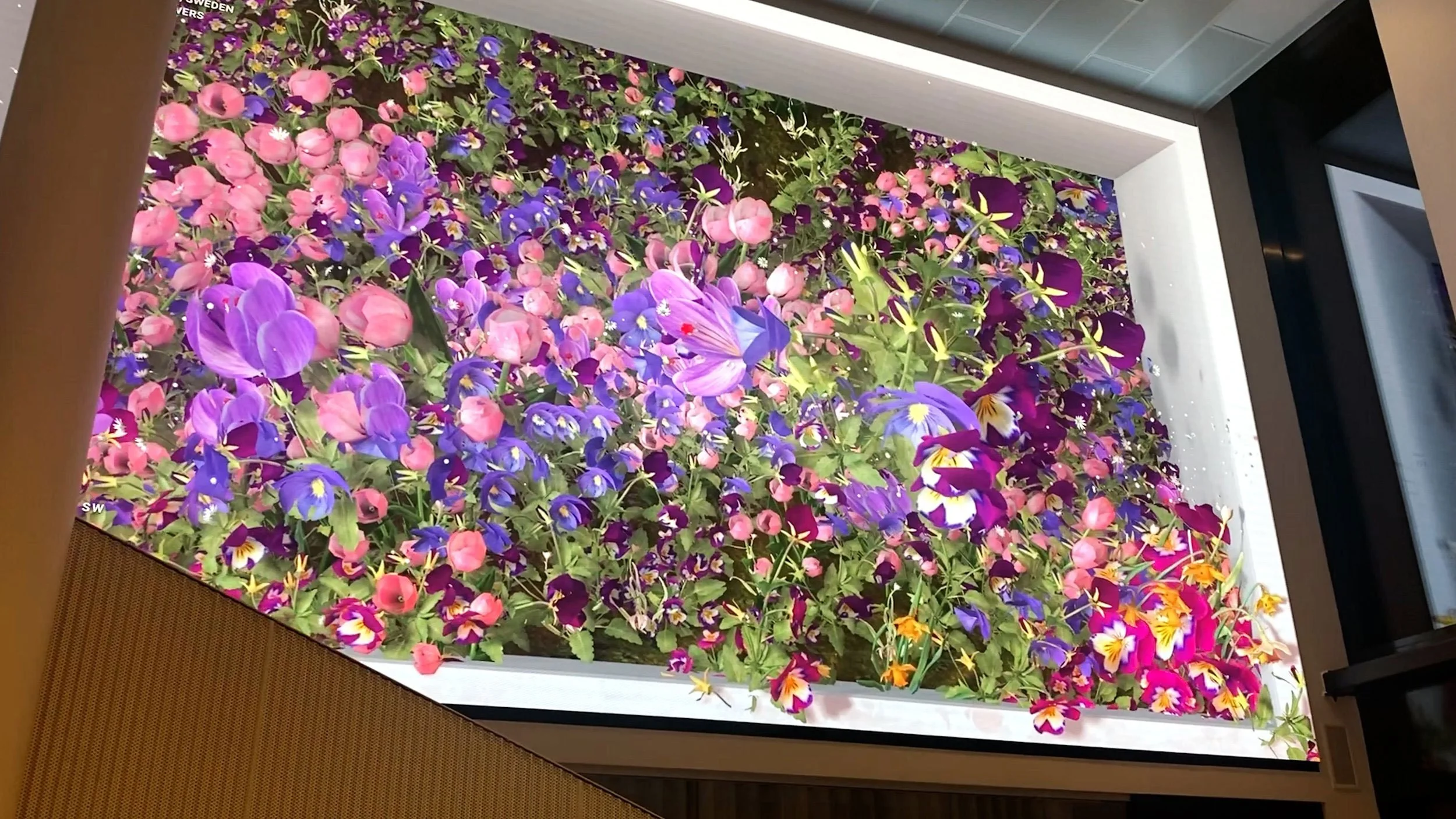 Moments in Time, Permanent generative installation by Ronen Tanchum