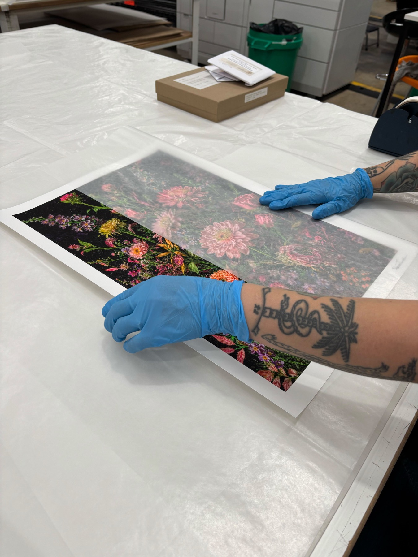 e:herbarium press image 7