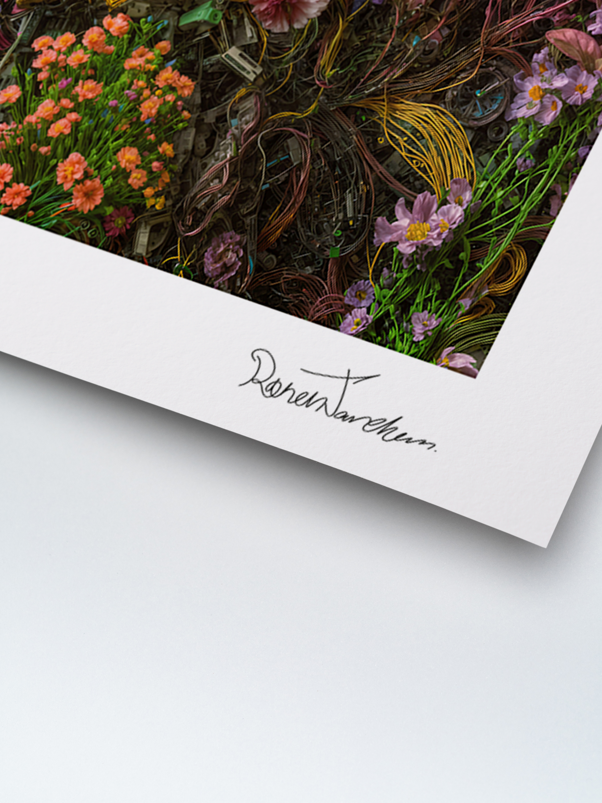 e:herbarium press image 8