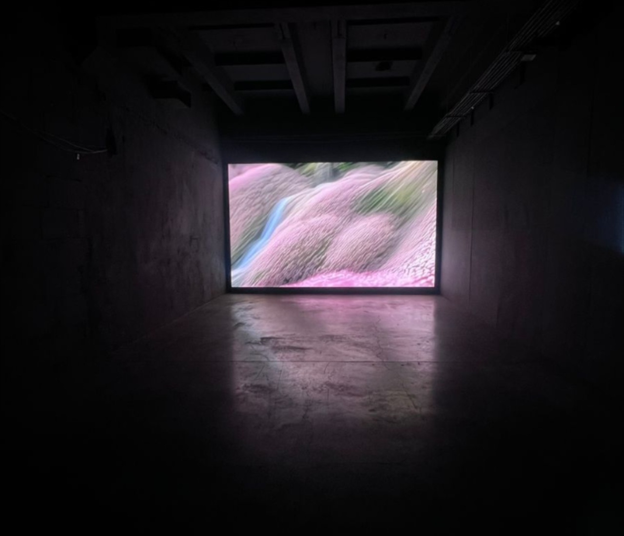 Ecobiennale, AI art film by Ronen Tanchum