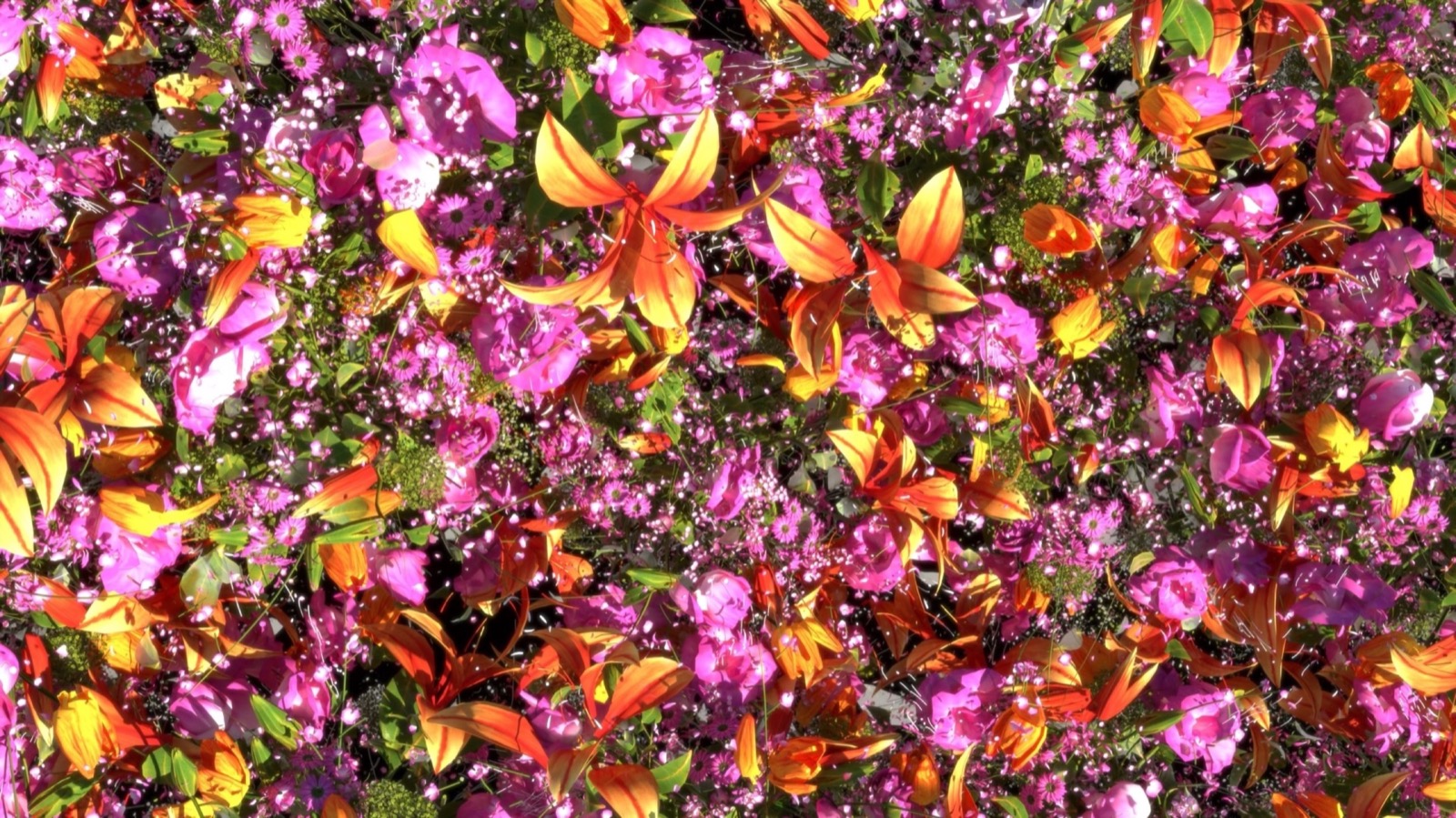 Nature Streams, Simulation video art series by Ronen Tanchum